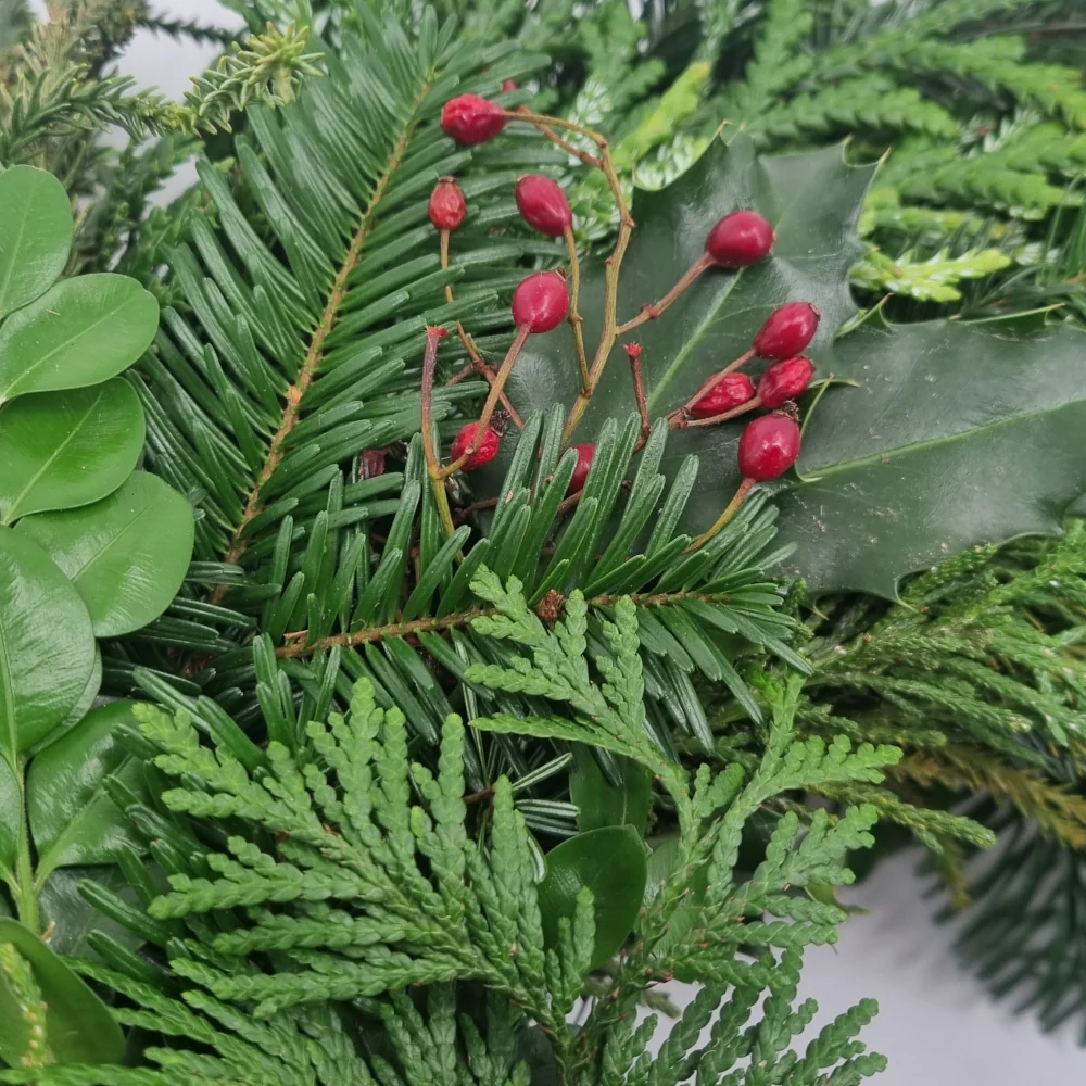 Adventskranz Premium gemischte Zweige 6-8 Sorten grünlich 40 cm - Image 3