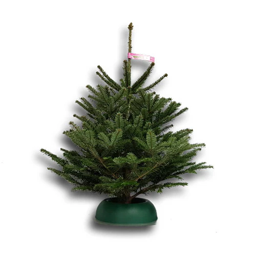 Baumständer EASYFIX Junior light 32 cm bis 1,8m Baumhöhe - Image 5