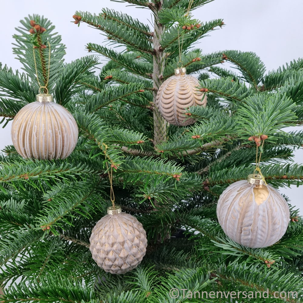 Weihnachtskugel aus Glas Champagner 8 cm 12er Set - Image 2