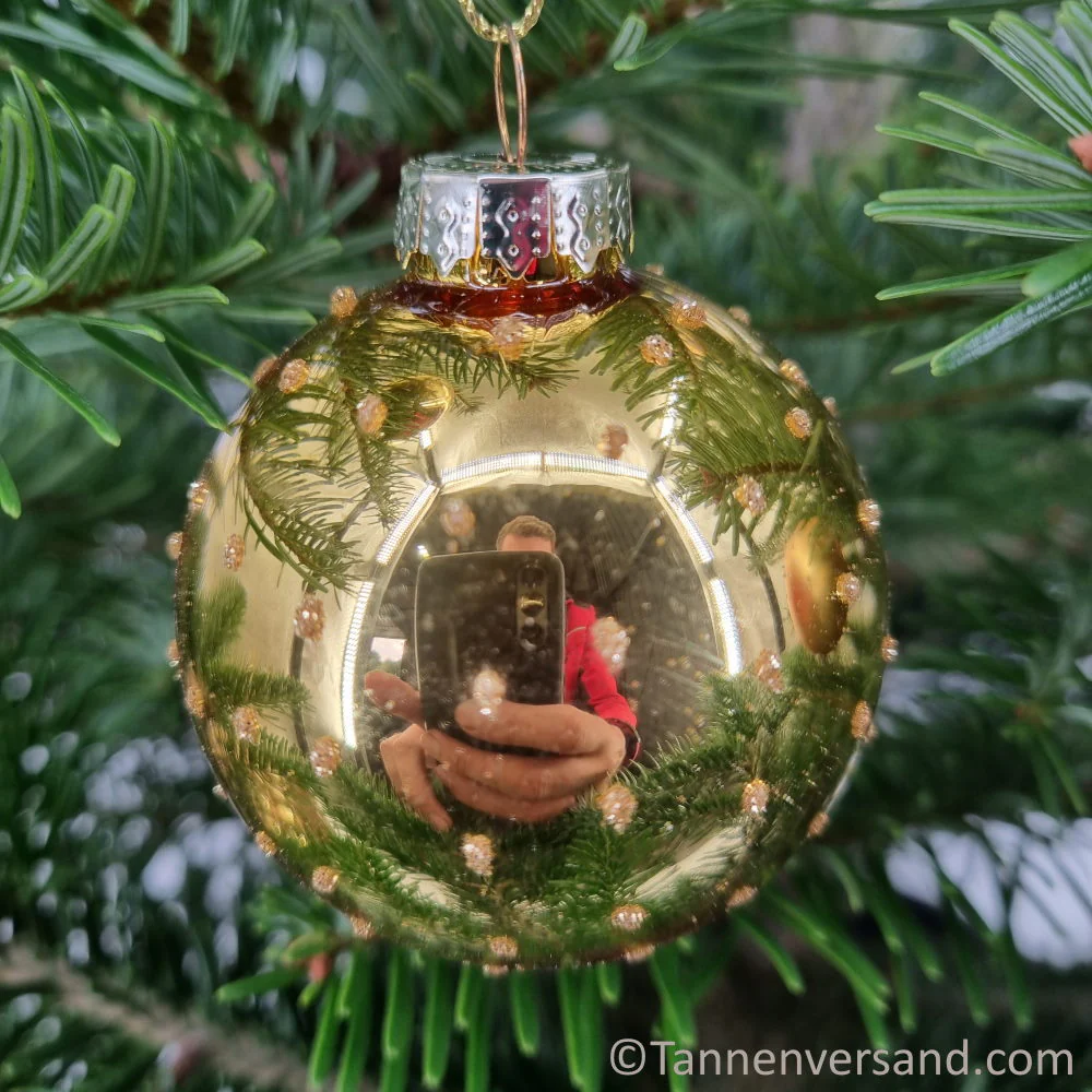 Weihnachtskugel aus Glas Gold 6 cm 12er Set - Image 5